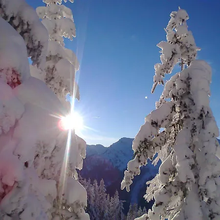 Apartament Wilma Schladming