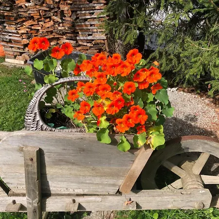 Appartement Wilma Schladming