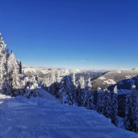 Wilma Apartment Schladming