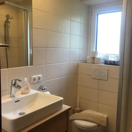 Wilma Apartment Schladming