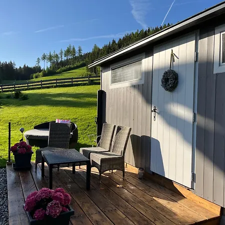Wilma Apartment Schladming
