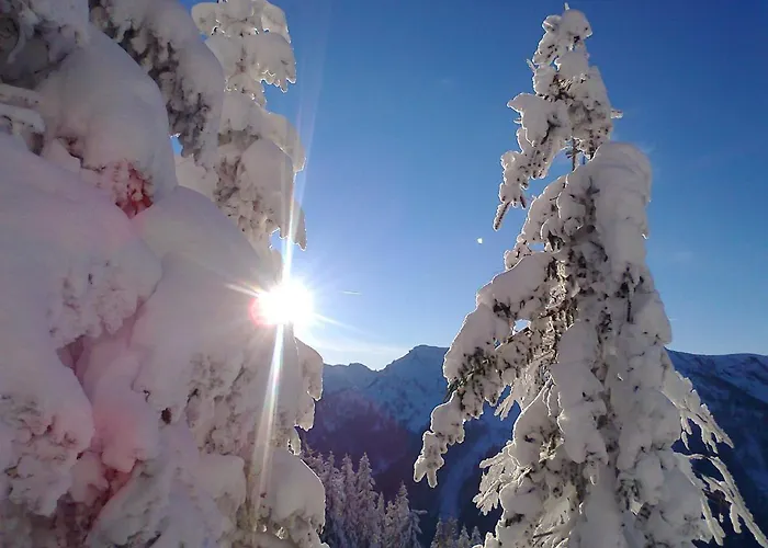 公寓 威尔玛公寓式酒店 斯拉德明
