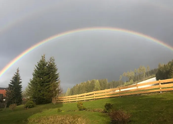 公寓 威尔玛公寓式酒店 *