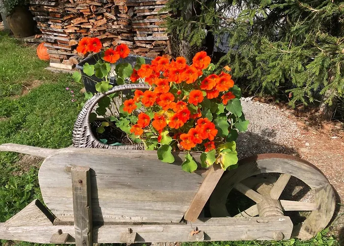 Apartmán Wilma Schladming