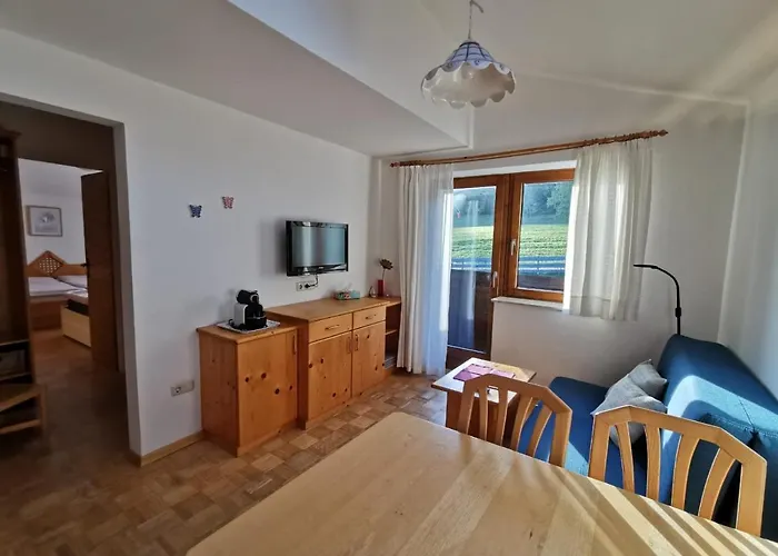 威尔玛公寓式酒店 斯拉德明