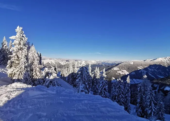 Wilma Apartamento Schladming