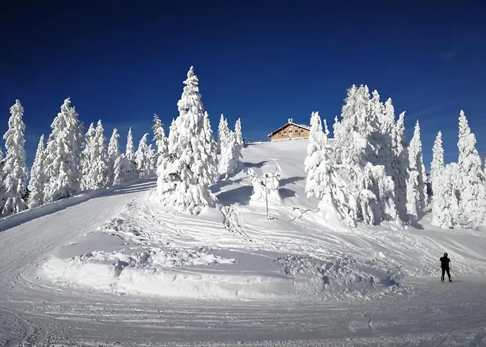 公寓 威尔玛公寓式酒店 *