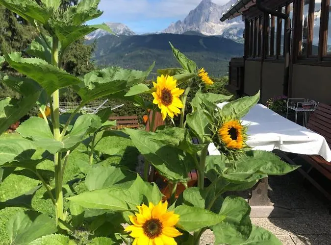 威尔玛公寓式酒店 *