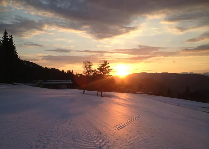 公寓 威尔玛公寓式酒店 *