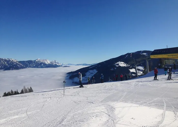 公寓 威尔玛公寓式酒店