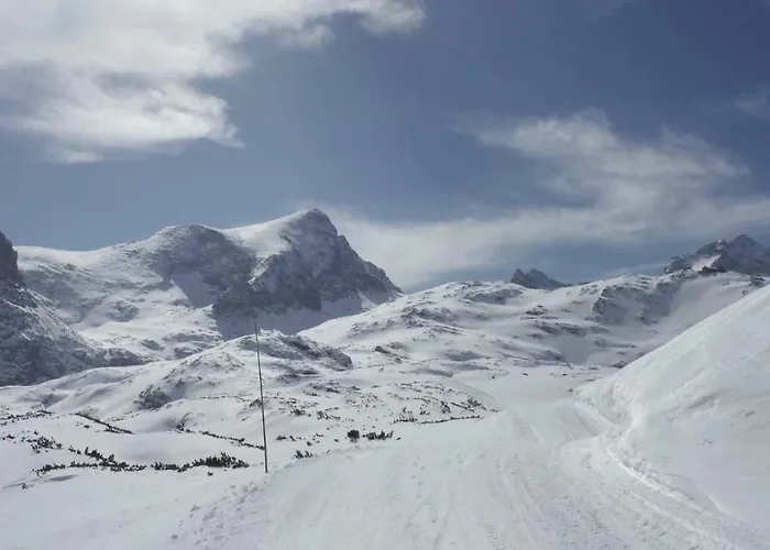 Wilma アパート *